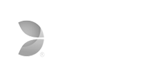 Evo
